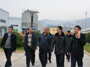 ʡ����ר���顢��ҩƷ�����һ���쵼����˾�ι۵���