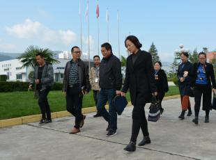 ���ܹ����쵼���ҹ�˾��չ���⡰����Э�̡���������